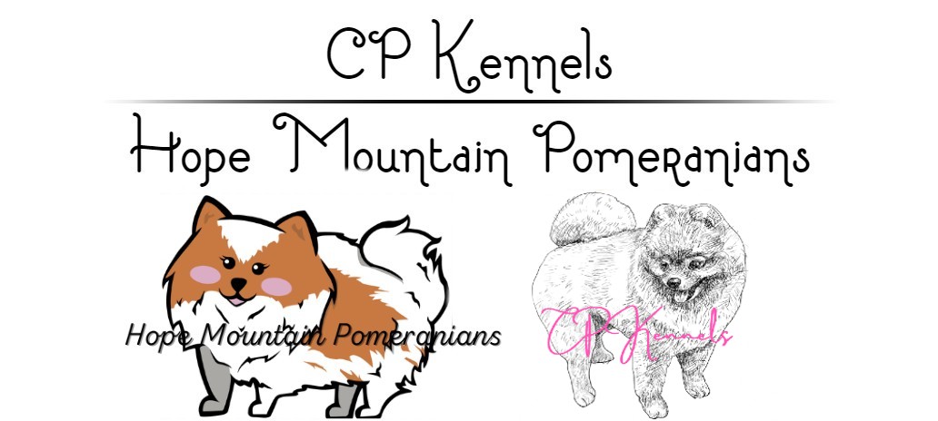 Hope Mountain Pomeranians